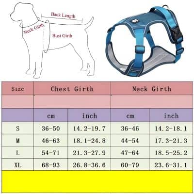 Blue dog harness with adjustable straps for comfortable fit, suitable for pet training and walking. Durable and secure design to keep your dog safe during outdoor activities.