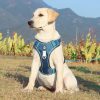 Comfortable blue dog harness for pet safety, ideal for walking and outdoor activities at Monalisa Store. Stylish, secure, and supportive harness for dogs of all sizes.