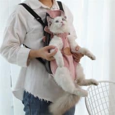 Fluffy white cat in pink pet carrier at Monalisa Store, pet accessories, cat care products, premium pet supplies, pet store retail, pet grooming and health accessories.