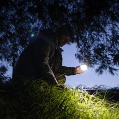 Flashlight, outdoor, nighttime, man examining plants, dark sky, natural environment, Monalisa Medical store, outdoor lighting, nature exploration, evening scene.