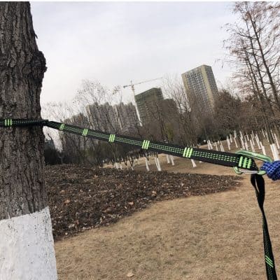 Tie-out leash secured to a tree in a park with city buildings in the background.