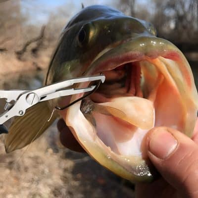 Freshly caught fish with hook removal tool at Monalisa Store, showcasing quality seafood selection for opt enthusiasts and customers.