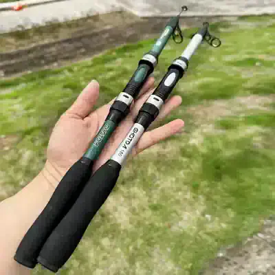 Fishing rod set displayed outdoors for fishing enthusiasts, featuring durable handles and adjustable reel seats. Ideal for freshwater or saltwater fishing, this high-quality gear enhances your fishing experience.
