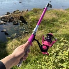 Pink fishing rod by the water with scenic nature background.