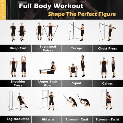 Full body workout exercises for shaping the perfect figure at Monalisa Store, including bicep curl, lateral raises, triceps, chest press, shoulder press, upper back row, squat, calves, leg adductor, abtwist, stomach cula, and stomach twist.
