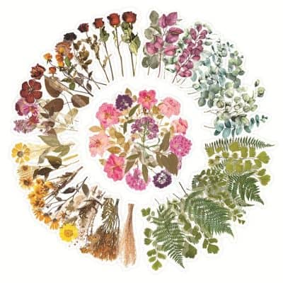 Colorful assortment of dried flowers and herbs for natural wellness, herbal medicine, and holistic health products at Monalisa Store.