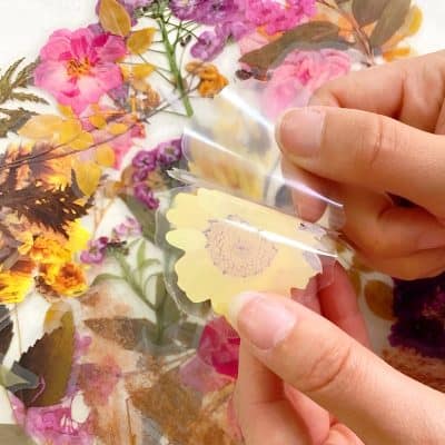 Vaporizer patch for skin care, surrounded by colorful dried flowers, highlighting beauty and wellness products at Monalisa Medical Store.