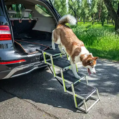 Portable dog ramp for car, foldable pet stairs for vehicle access, non-slip outdoor pet ramp for small to large dogs, ideal for travel, camping, and outdoor activities.