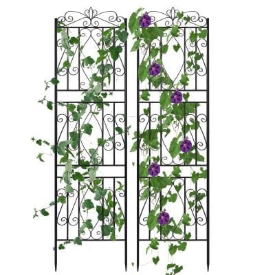 Elegant 2PCS Metal Garden Trellis
