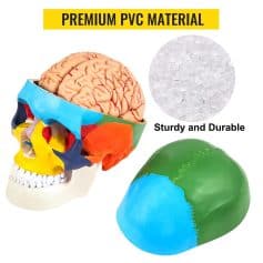 Durable, sturdy PVC materials designed for medical and dental applications, ensuring long-lasting and reliable performance. Perfect for various health-related equipment and tools.