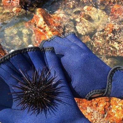 Comfortable blue sea-inspired socks featuring a realistic sea urchin design, perfect for ocean lovers and nature enthusiasts.