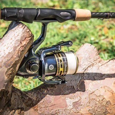 Opt for durable fishing reels for freshwater lake or river fishing and enhance your angling experience.