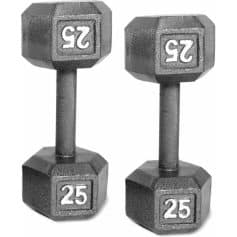 Heavy 25-pound adjustable dumbbells for strength training and muscle building. Durable and versatile gym equipment suitable for home and professional fitness centers.