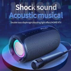 Wireless Bluetooth karaoke speaker with double bass diaphragm and colorful light effects for home KTV and outdoor use. Perfect for music lovers seeking high-quality sound.