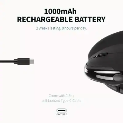 High-quality optical store specializing in designer eyewear, glasses, and contact lenses, offering the latest in eye care technology and fashionable frames for all ages.