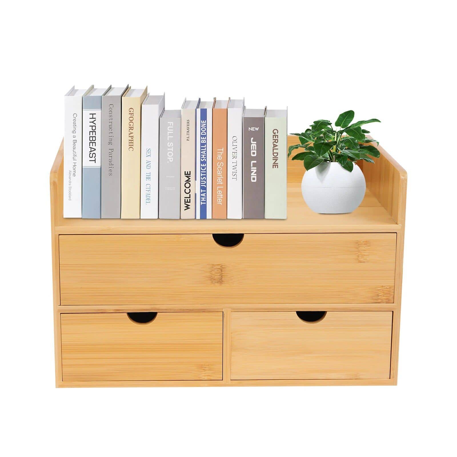Stylish wooden shelf with books and potted plant, ideal for optical store decor and organization. Perfect for showcasing eyewear accessories in a modern optical retail space.