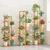 Vibrant potted plants on wooden shelves for home decor or office aesthetic, promoting a natural ambiance and air purification. Perfect for creating a lush, green environment indoors.