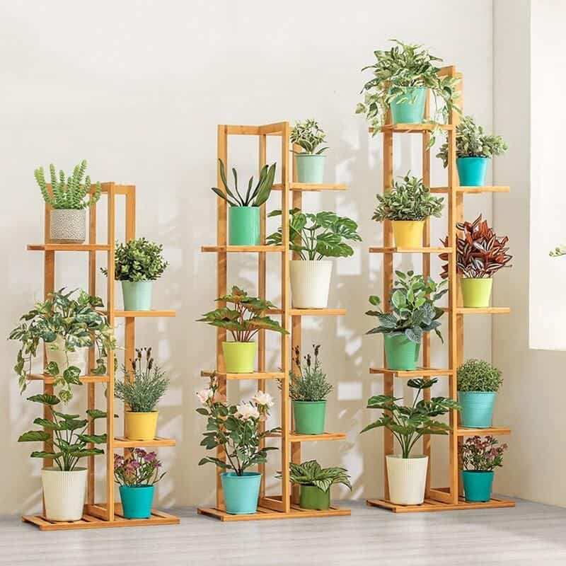 Vibrant potted plants on wooden shelves for home decor or office aesthetic, promoting a natural ambiance and air purification. Perfect for creating a lush, green environment indoors.