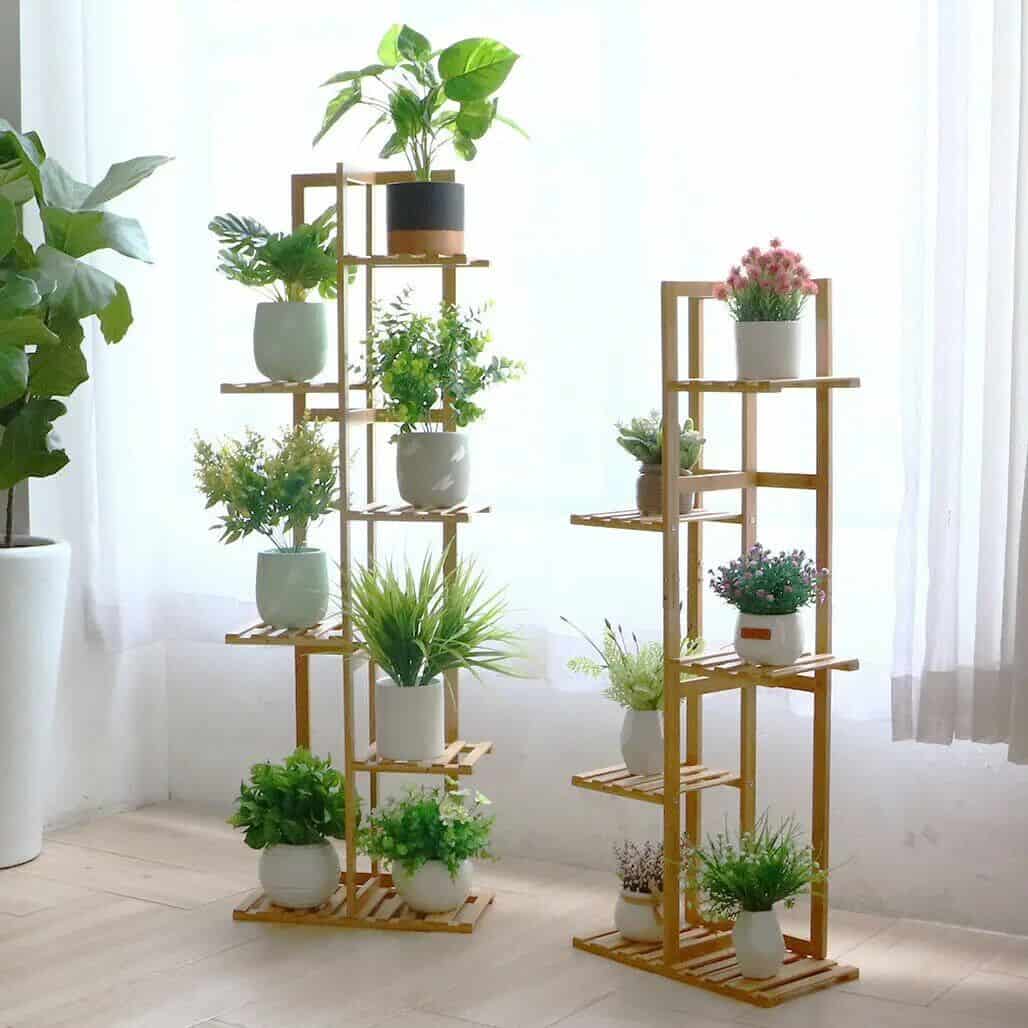 Beautiful arrangement of potted plants on wooden shelves enhancing home or office aesthetics.