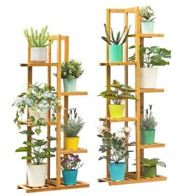 Brightly Colored Potted Indoor Plants on Wooden Shelves.