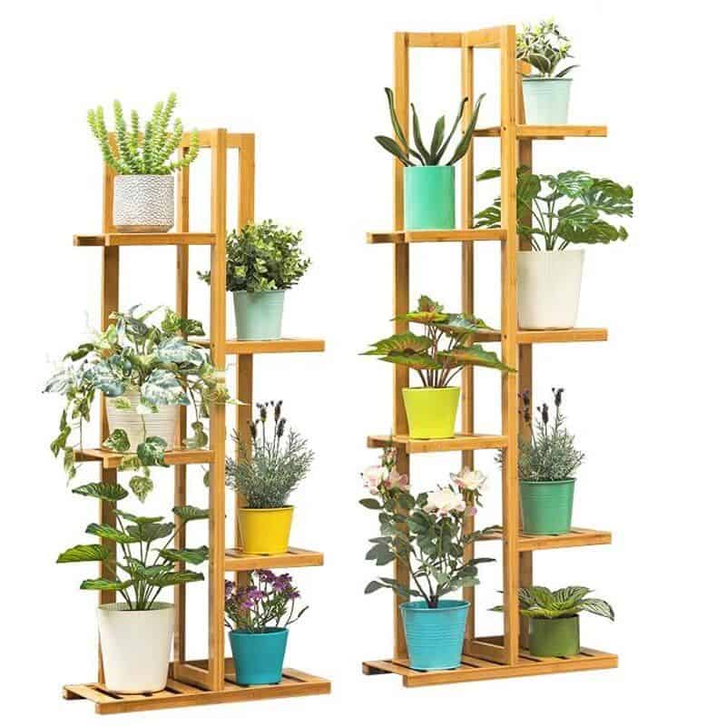 Brightly Colored Potted Indoor Plants on Wooden Shelves.