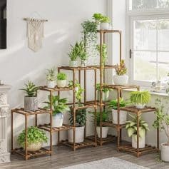 Bright indoor plant shelves for home decor.