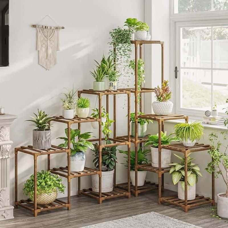 Bright indoor plant shelves for home decor.
