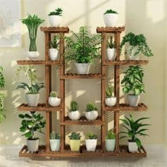 A beautiful arrangement of various potted houseplants on wooden shelves, ideal for enhancing home interiors with greenery and natural aesthetics.