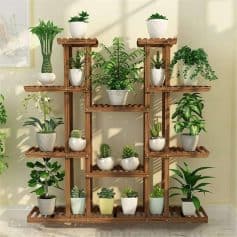 A stylish wooden plant stand with a variety of green houseplants in white ceramic pots, perfect for home decoration and creating a natural, relaxing environment.