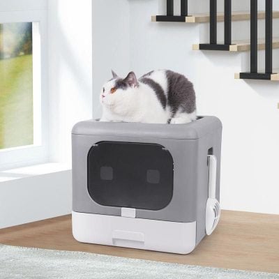 Smart Cat Litter Box for Healthy Pets.