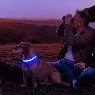 Dog wearing illuminated collar sitting beside a person using binoculars at dusk in a scenic outdoor setting.