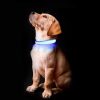 Bright LED dog collar for safety and visibility during walks.