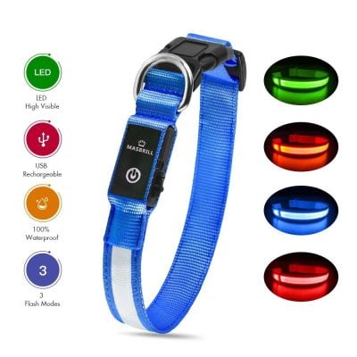Bright LED dog collar with multi-color flashing modes, rechargeable via USB, waterproof design, and high visibility for night walks, ensuring pet safety and visibility.
