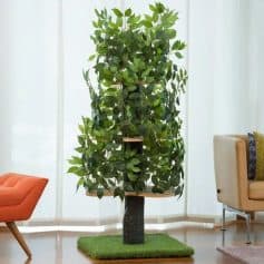 Lush green indoor plant with intricate wooden supports, installation on a small green carpet in modern living space, adding natural decor and fresh ambiance.