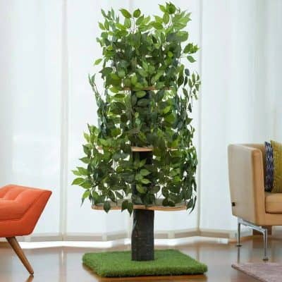 Lush green indoor plant with intricate wooden supports, installation on a small green carpet in modern living space, adding natural decor and fresh ambiance.