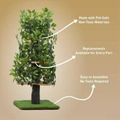 Durable, pet-safe, non-toxic materials for plant arrangement.
