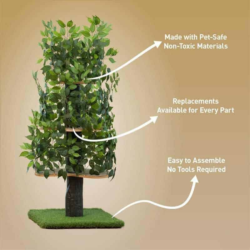 Durable, pet-safe, non-toxic materials for plant arrangement.