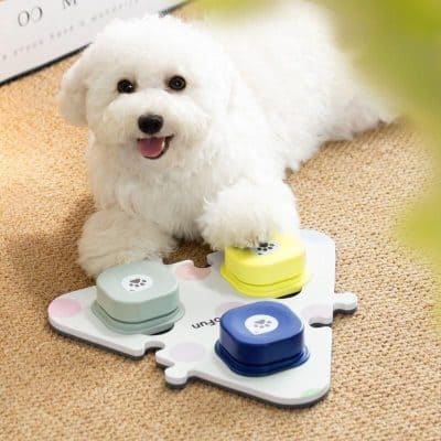Adorable white puppy playing with a colorful pet puzzle toy, perfect for mental stimulation and entertainment for dogs. Ideal for pet owners seeking engaging toys for their pets.