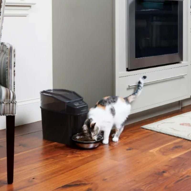 A cute domestic cat with white and dark fur enjoying meal from an automatic pet feeder in a cozy home setting.