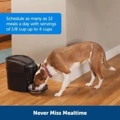 Dog drinking from automatic pet feeder, healthy pet meals, food dispenser, pet feeding, pet nutrition, automatic food dispenser, pet care, pet accessories.