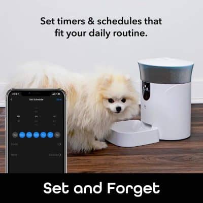 Automatic pet water fountain with scheduling | Pet hydration system, smart water dispenser for dogs and cats | Convenient pet water fountain with timer.