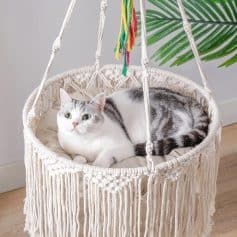A cozy cat resting in a handcrafted macrame hammock bed with vibrant tassels, perfect for stylish pet comfort. Great for cat owners seeking premium, aesthetic cat furniture from Monalisa Medical.