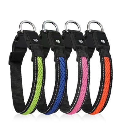 Alternative view of Nylon Dog Collar Flash Night Safety LED Glow Waterproof