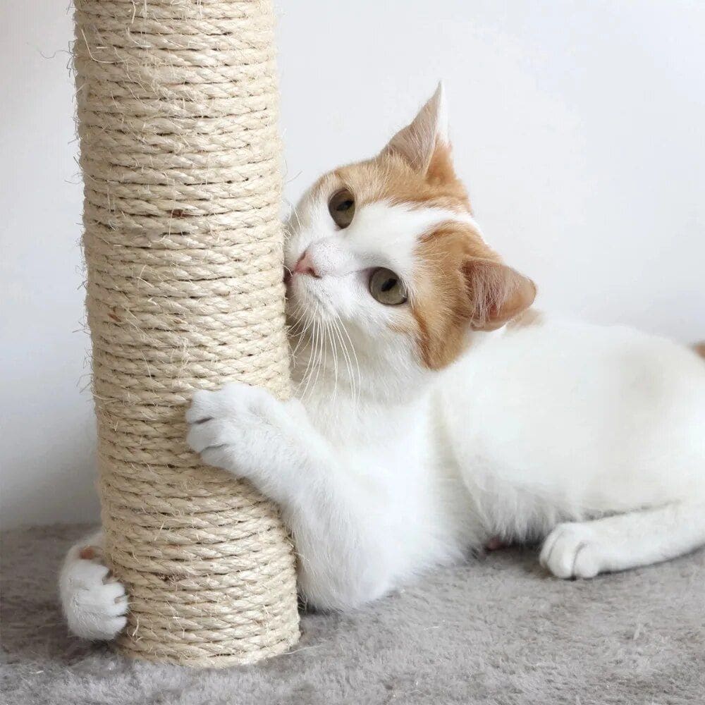 High-quality cat scratching post designed for feline scratchers and play, perfect for pet enrichment and scratch training.