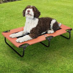 Comfortable outdoor dog bed for pets, ideal for lounging and resting in garden or backyard areas, perfect for small to medium-sized dogs.