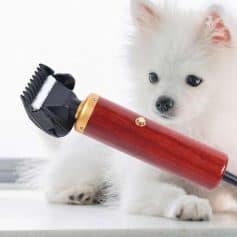 Close-up of a fluffy white puppy holding a professional grooming clipper, emphasizing pet grooming services and accessories available at Monalisa Medical Store.