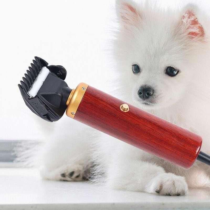 Close-up of a fluffy white puppy holding a professional grooming clipper, emphasizing pet grooming services and accessories available at Monalisa Medical Store.