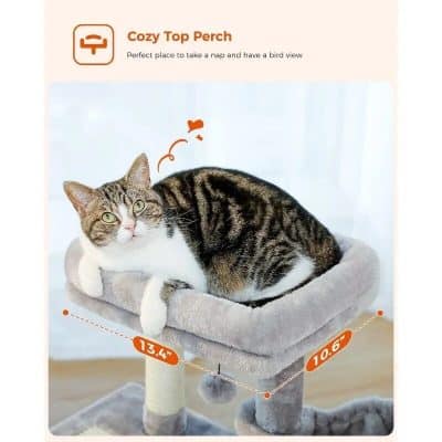 Soft, comfortable cat perch for resting and bird-watching. Spacious platform with measurement details for perfect fit. Ideal for cats to nap and relax while observing surroundings.