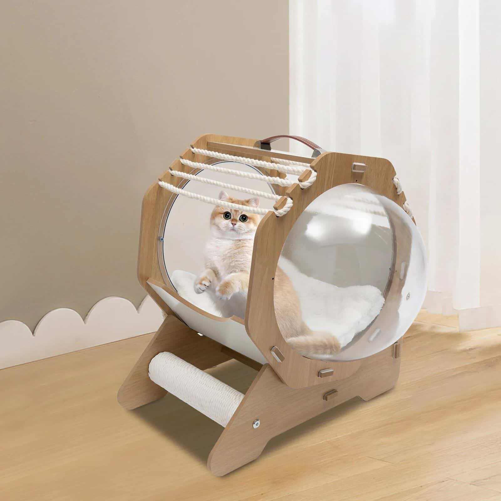 Adorable cat inside a stylish, modern wooden enclosure with a clear ball for play, perfect for cats to climb, rest, and have fun indoors.