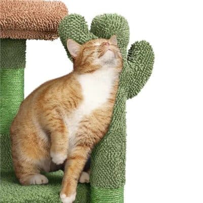 Cute orange and white cat relaxing on a green cat tree with scratching posts and plush platforms for climbing and playing. Perfect for cat lovers and pet owners seeking high-quality cat furniture.